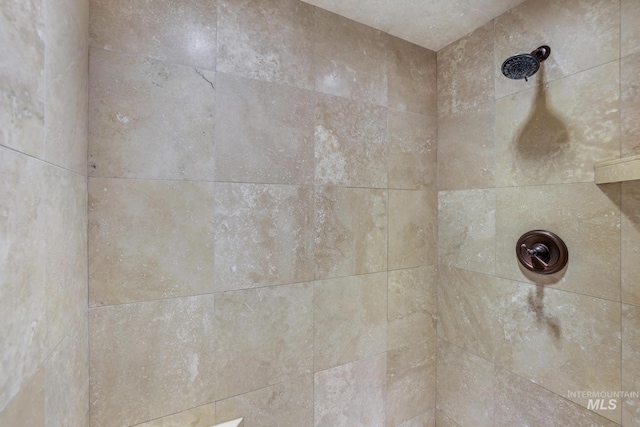 room details with a tile shower