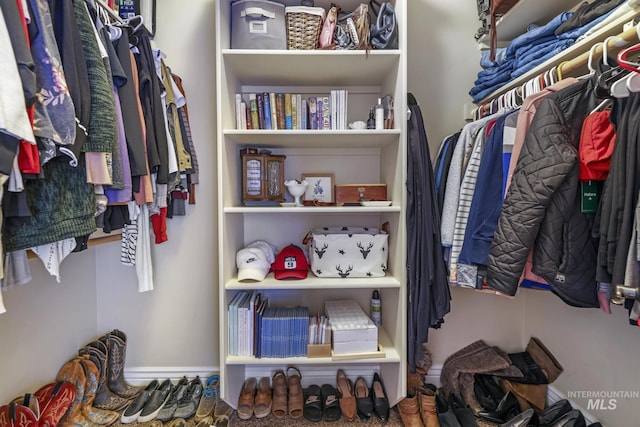 view of walk in closet