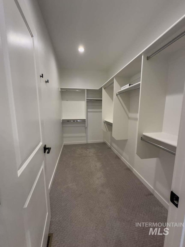 spacious closet featuring carpet and visible vents