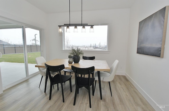 dining room with light hardwood / wood-style flooring