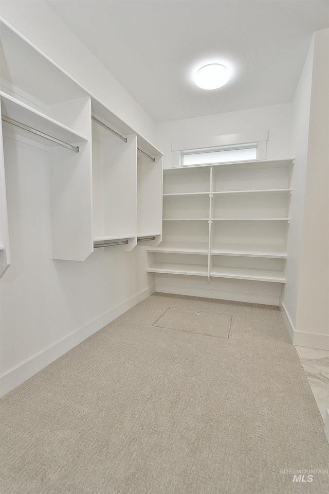 walk in closet with light carpet