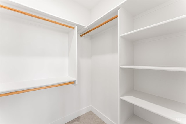 357 E Lombard Ln The Dayton, Unit The Dayton, Eagle, ID 83616 - spacious closet featuring carpet