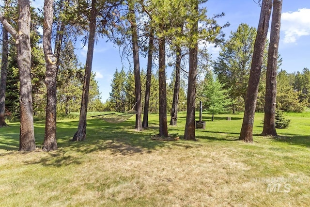 13098 Hillhouse Loop, Donnelly, ID 83615 - view of local wilderness
