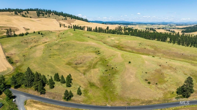 TBDPARCEL1 Lenville, Moscow ID, 83843 land for sale