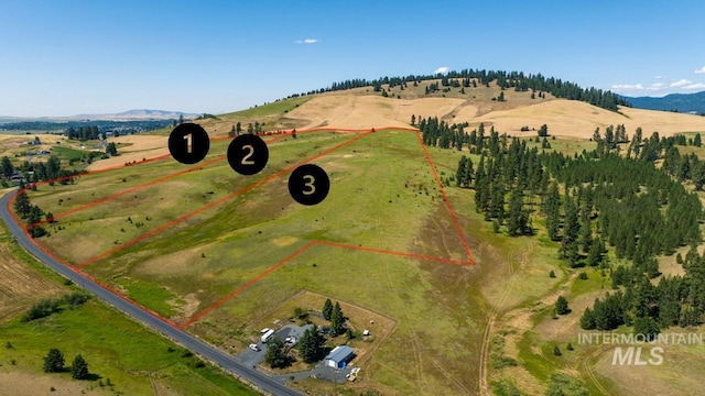 Listing photo 2 for TBDPARCEL1 Lenville, Moscow ID 83843