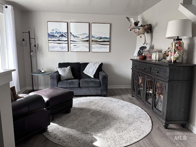 living room featuring hardwood / wood-style floors and a textured ceiling