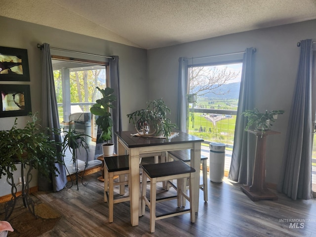 131 Beaver Nob Dr, Kamiah, ID 83536 - dining room with lofted ceiling, dark wood-style floors, plenty of natural light, and a textured ceiling