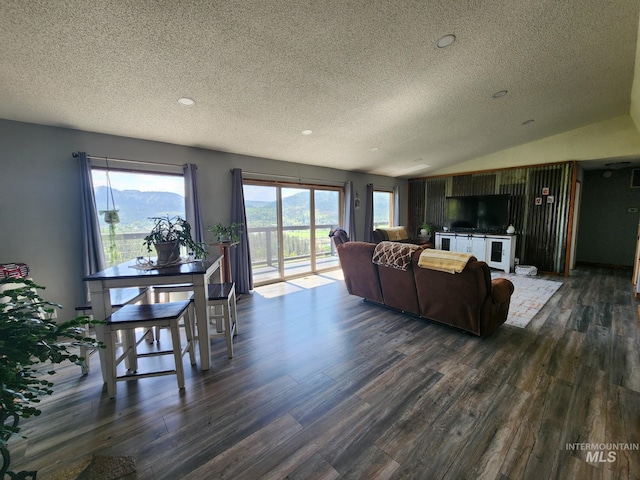 131 Beaver Nob Dr, Kamiah, ID 83536 - living room with a textured ceiling and dark wood finished floors