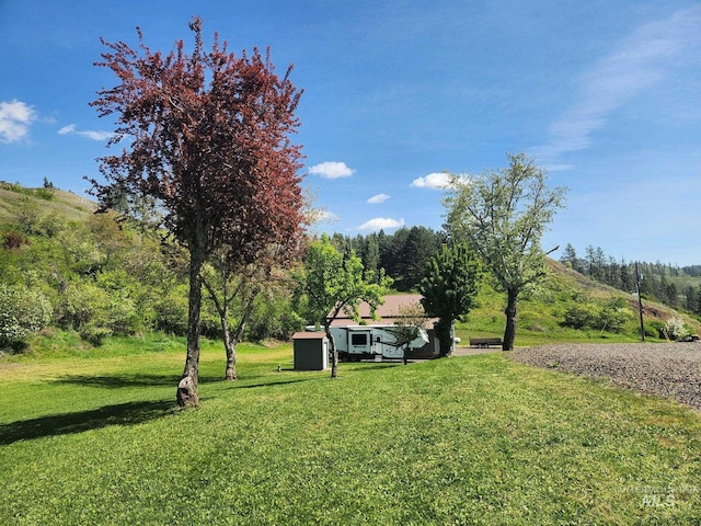 131 Beaver Nob Dr, Kamiah, ID 83536 - view of green lawn