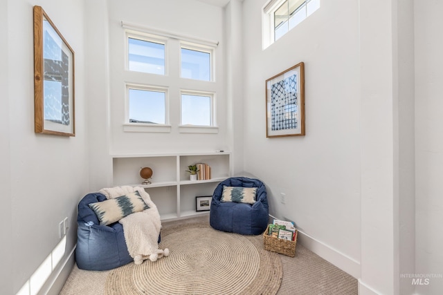 living area featuring carpet and a healthy amount of sunlight