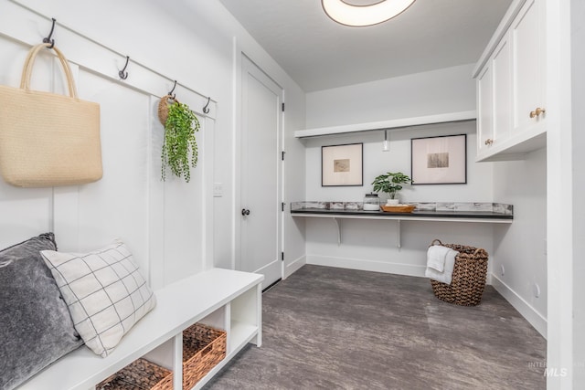 mudroom featuring dark hardwood / wood-style floors