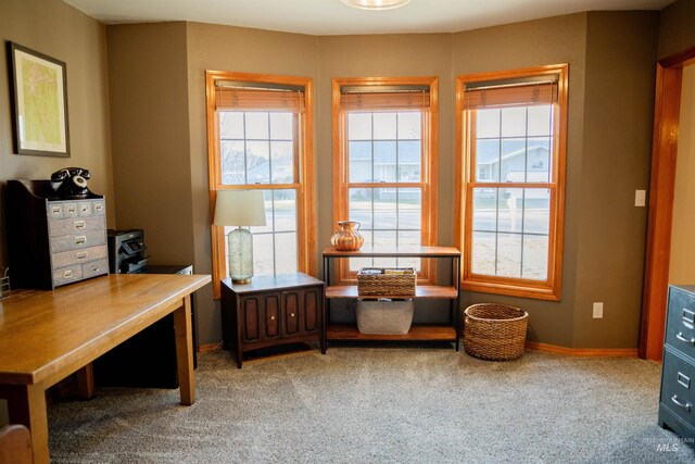 sitting room with carpet flooring and a healthy amount of sunlight