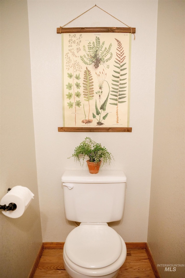 bathroom with toilet and hardwood / wood-style flooring