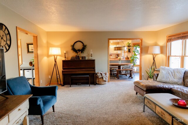 living room featuring carpet flooring and a textured ceiling