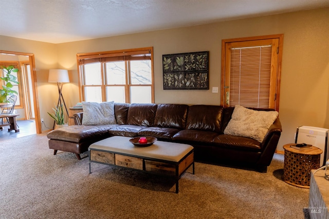 carpeted living room featuring plenty of natural light