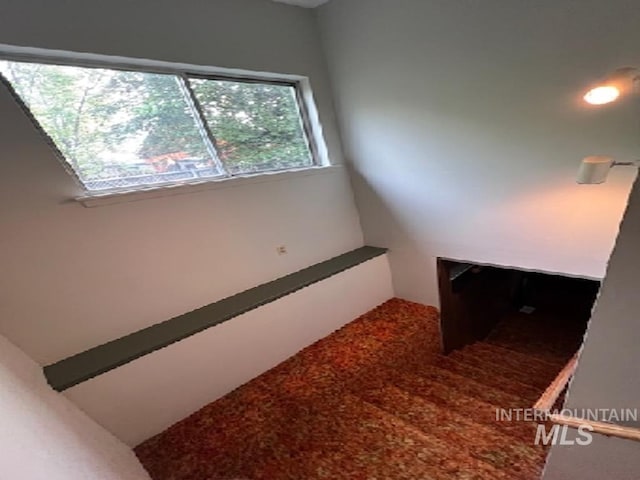 stairway with carpet floors