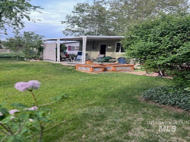 back of house featuring a lawn and a patio area