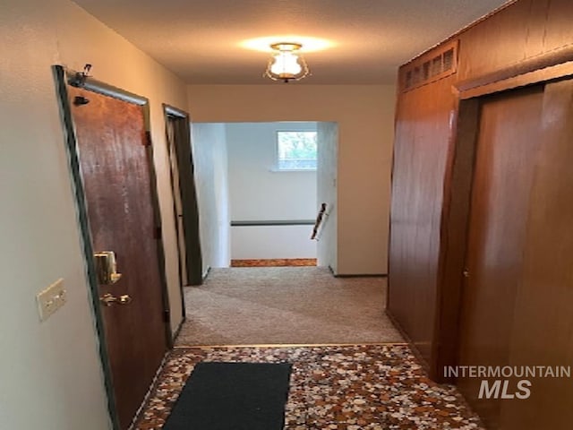 hallway featuring carpet floors