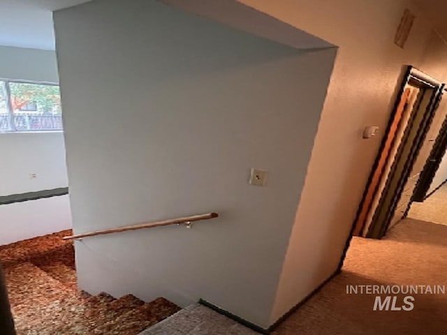 stairs with carpet