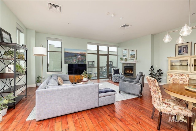 living room with a fireplace and wood-type flooring