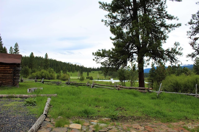 view of yard with a rural view