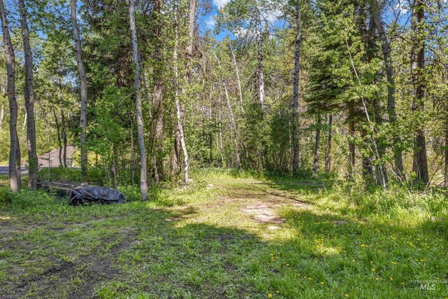 1718 Warren Wagon Rd, Mccall, ID 83638 - view of woods