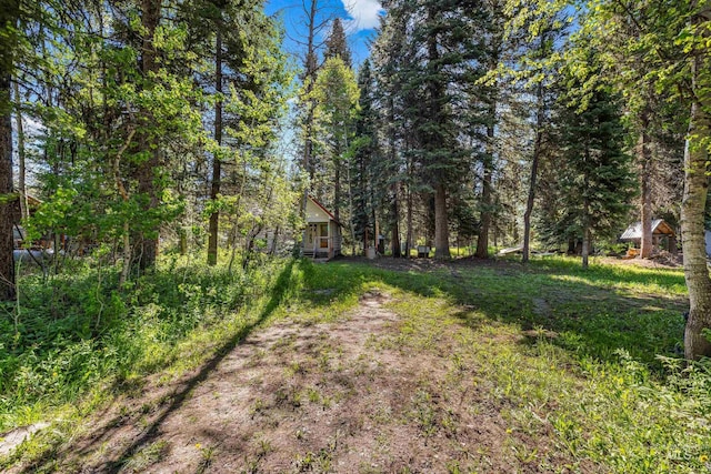 1718 Warren Wagon Rd, Mccall, ID 83638 - view of yard featuring a wooded view