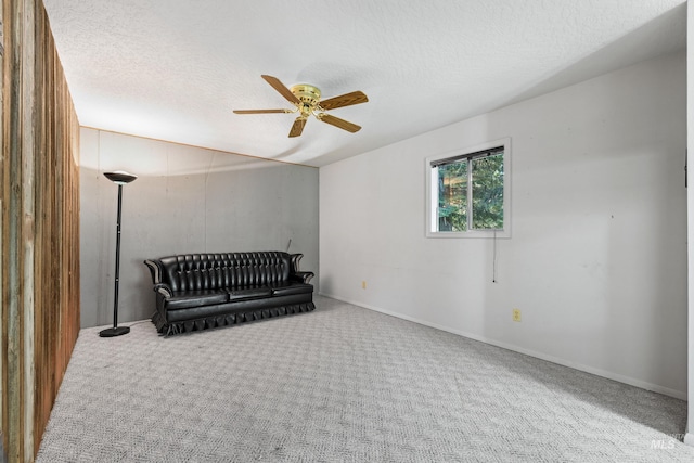 1718 Warren Wagon Rd, Mccall, ID 83638 - living area featuring a ceiling fan, carpet, and a textured ceiling