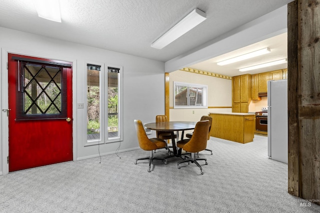 1718 Warren Wagon Rd, Mccall, ID 83638 - dining room featuring light carpet and a textured ceiling