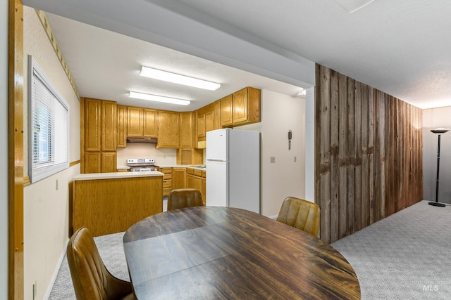 1718 Warren Wagon Rd, Mccall, ID 83638 - kitchen featuring freestanding refrigerator, carpet flooring, stove, under cabinet range hood, and light countertops