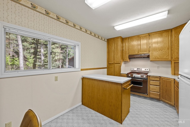 1718 Warren Wagon Rd, Mccall, ID 83638 - kitchen featuring stainless steel range, under cabinet range hood, light carpet, freestanding refrigerator, and wallpapered walls
