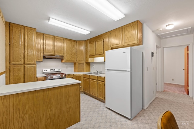 1718 Warren Wagon Rd, Mccall, ID 83638 - kitchen with freestanding refrigerator, stainless steel range oven, under cabinet range hood, light carpet, and light countertops