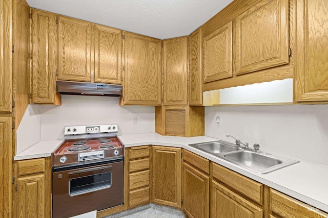 1718 Warren Wagon Rd, Mccall, ID 83638 - kitchen featuring under cabinet range hood, stainless steel electric range, light countertops, a sink, and brown cabinetry