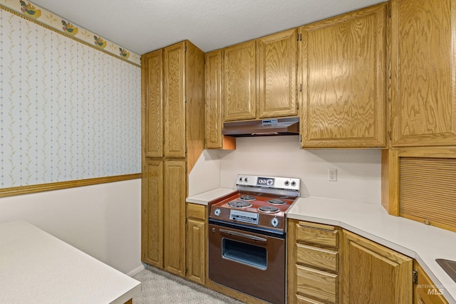 1718 Warren Wagon Rd, Mccall, ID 83638 - kitchen featuring stainless steel range with electric stovetop, under cabinet range hood, and light countertops