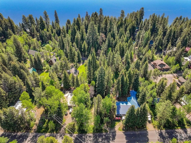 1718 Warren Wagon Rd, Mccall, ID 83638 - aerial view of a heavily wooded area