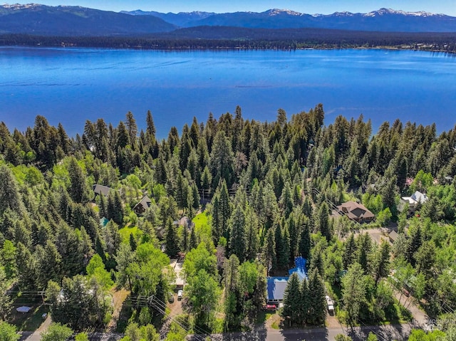 1718 Warren Wagon Rd, Mccall, ID 83638 - bird's eye view of a water and mountain view and a heavily wooded area