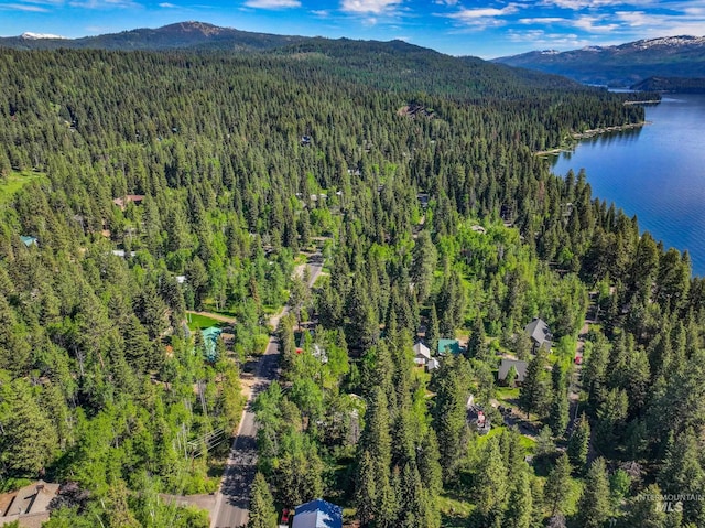 1718 Warren Wagon Rd, Mccall, ID 83638 - bird's eye view of a forest and a water and mountain view