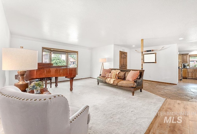 11151 W Hinsdale St, Boise, ID 83713 - living room with light wood-style floors, baseboards, and recessed lighting