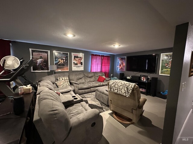 home theater with carpet floors