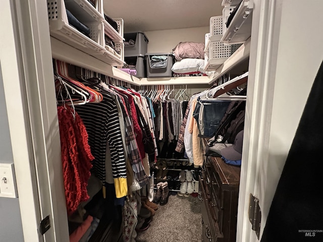 walk in closet featuring carpet