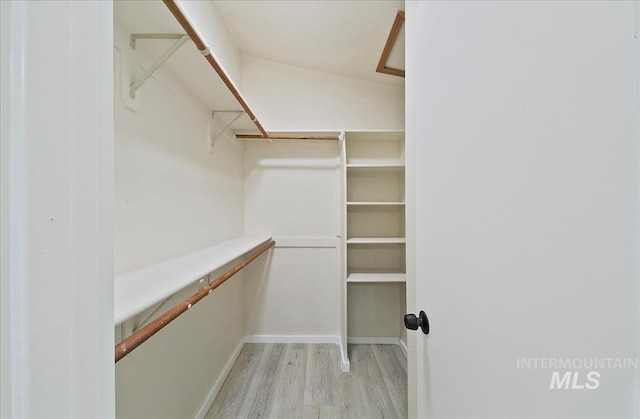 walk in closet featuring wood finished floors