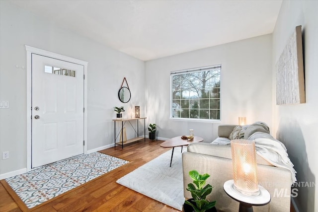 foyer featuring wood-type flooring