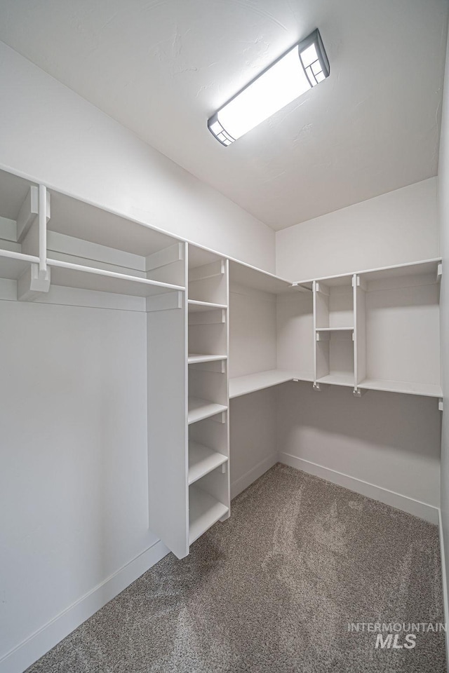 665 Emma Ct, Idaho Falls, ID 83404 - spacious closet featuring carpet flooring