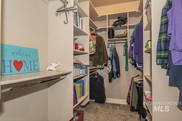 4519 Middlesboro Way, Caldwell, ID 83607 - walk in closet featuring carpet floors