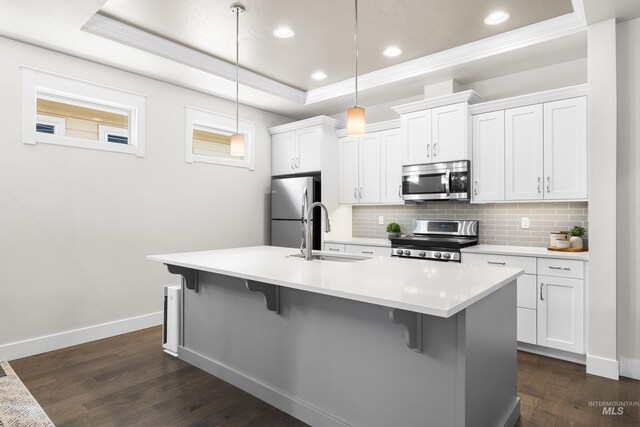 kitchen with a sink, stainless steel appliances, tasteful backsplash, a tray ceiling, and dark wood-type flooring