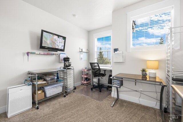 office featuring carpet flooring and baseboards
