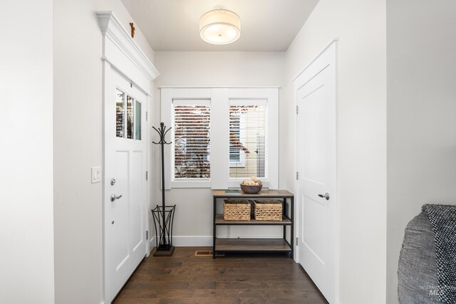 doorway with baseboards and dark wood finished floors
