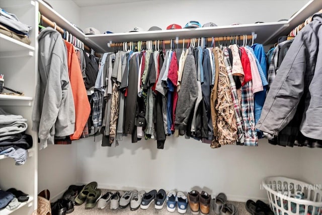 spacious closet with carpet