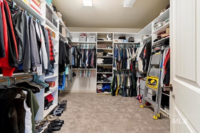 walk in closet with carpet floors