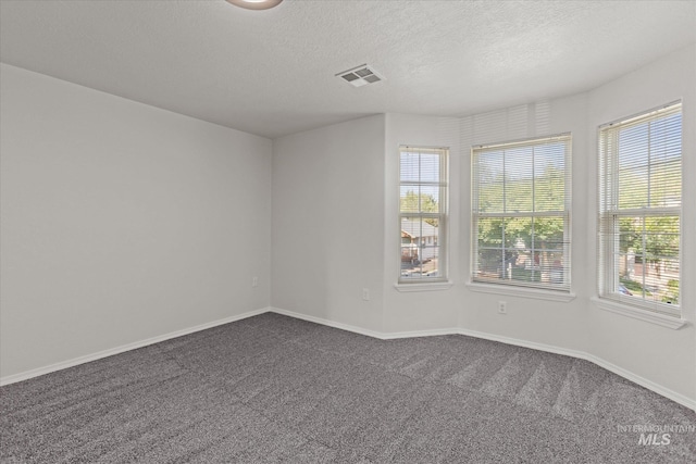 1420 S Denver, Boise, ID 83706 - spare room with plenty of natural light, dark carpet, a textured ceiling, and baseboards